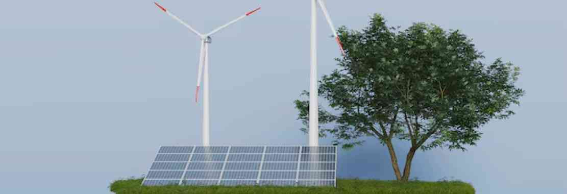 Renewable sector Budget 2025