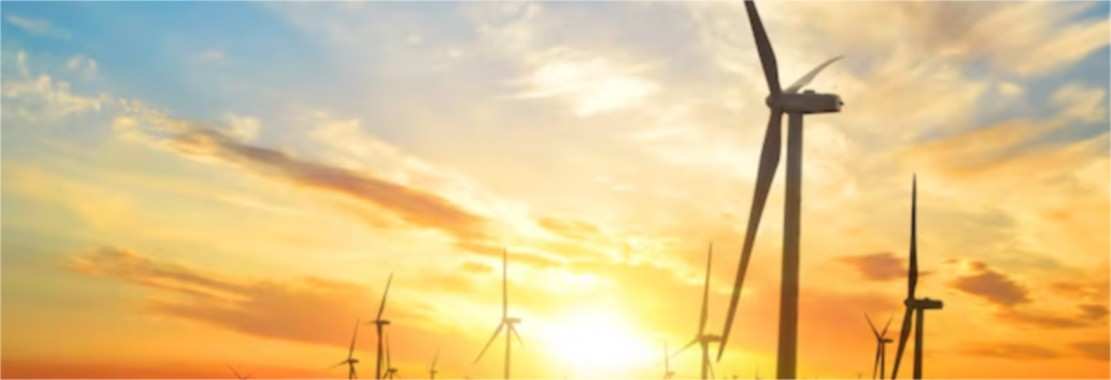 Union Budget 2025: Impact on Green Energy